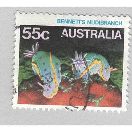 Australia Sea life Bennett's nudibranch multi colored 55  Used (BP90323)