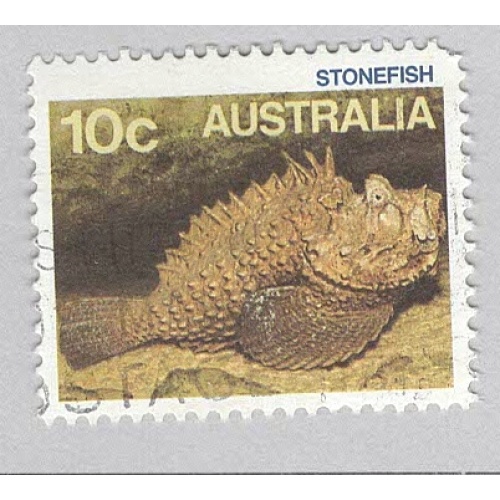 Australia Fish stonefish brown 10  Used (BP90325)