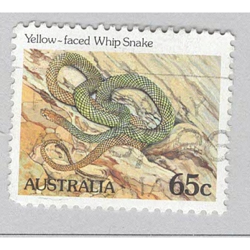 Australia Reptile snake yellow faced whip snake  Used (BP90331)