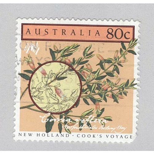 Australia  Used Flowers brown 80   (BP90511)