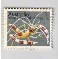 Australia Coral shrimp Gray one Used (BP90922)