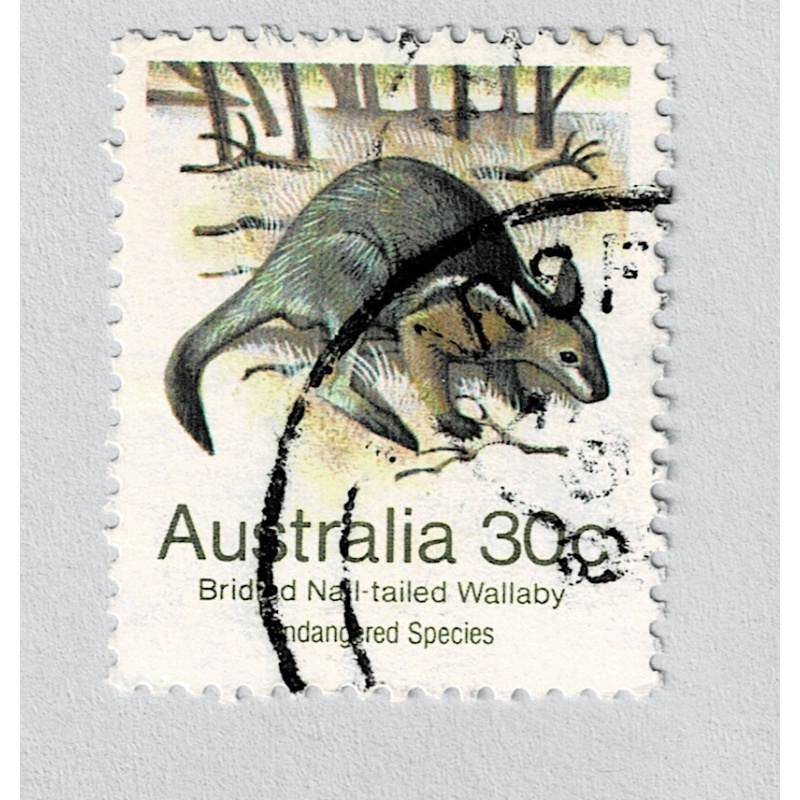 Australia Mammal wallaby 30 Used (BP91401)