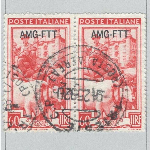 Italy AGM-FTT Trieste Overprint Used H Pair 1  (BP91606)