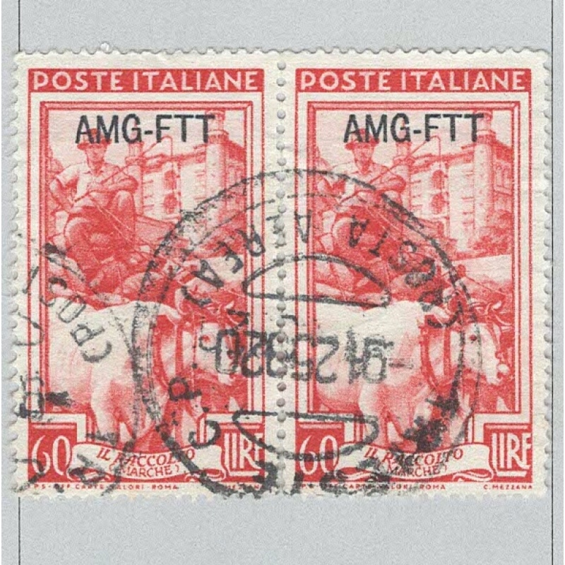 Italy AGM-FTT Trieste Overprint Used H Pair 1  (BP91606)