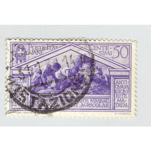 Italy 252 Harvesters at work 1930 Used (BP91824)