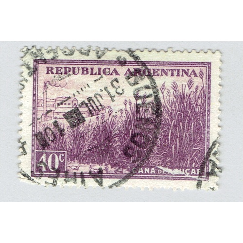 Argentina 443 Corn FieldUsed (BP92414)