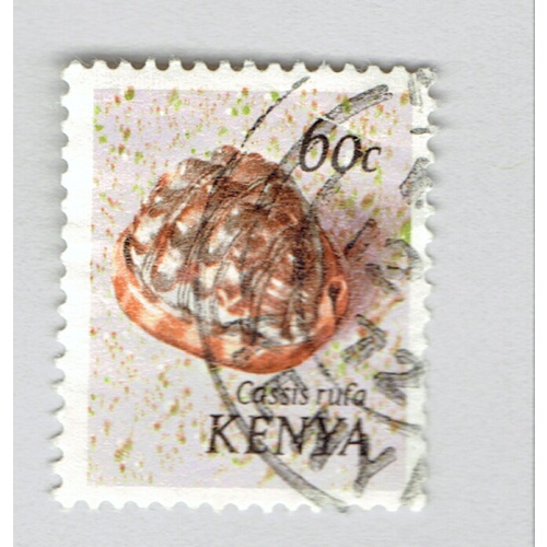 Kenya 43 Sea Shells 1971Used (BP92732)