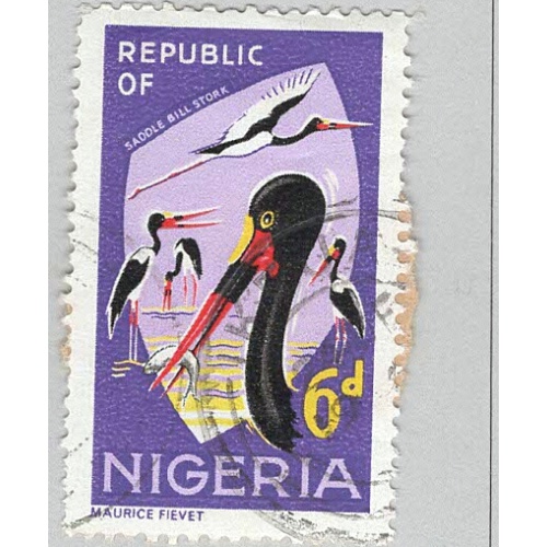 Nigeria Privet Bird  Used (BP93009)
