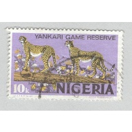 Nigeria Cheetah Used (BP93207)