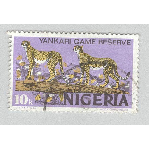 Nigeria Cheetah Used (BP93207)