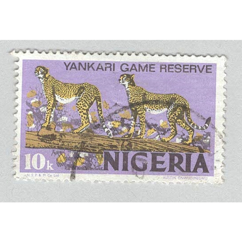 Nigeria Cheetah Used (BP93207)