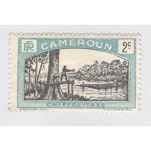 Cameroun J1 Man felling tree MLH (BP93215)