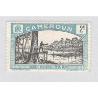 Cameroun J1 Man felling tree MLH (BP93216)