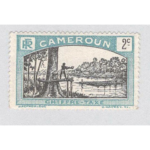 Cameroun J1 Man felling tree MLH (BP93216)