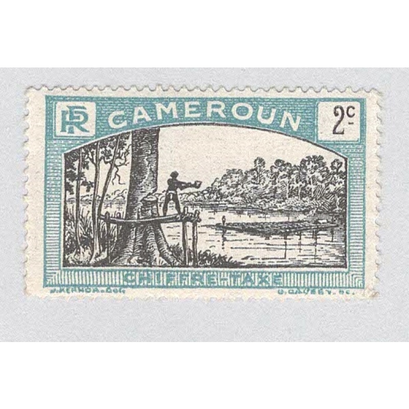 Cameroun J1 Man felling tree MLH (BP93216)