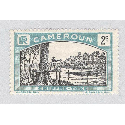 Cameroun J1 Man felling tree MLH (BP93217)