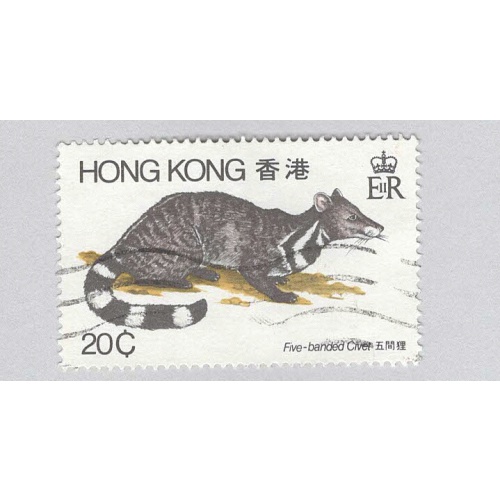 Hong Kong 5 banded civet animal  Used (BP93309)