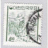 Korea 341 Rice Farmer Used (BP93502)