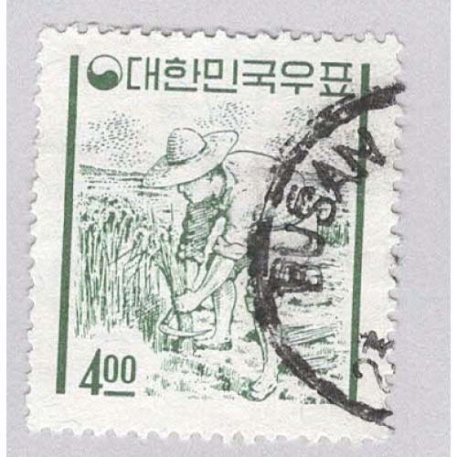 Korea 341 Rice Farmer Used (BP93502)
