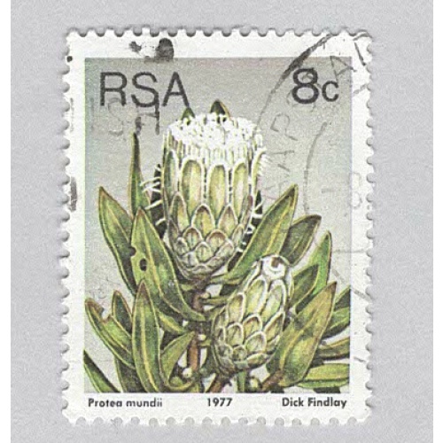 South Africa Flowers 1977 Used (BP93527)