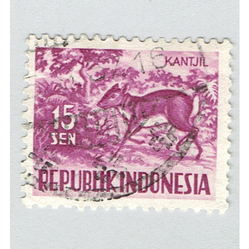 Indonesia White tailed deer Violet 15  Used (BP93604)