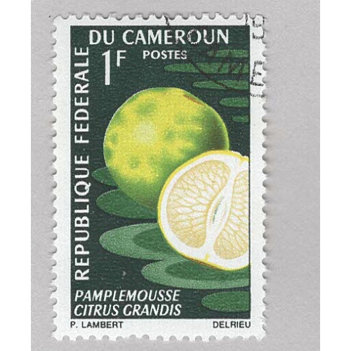Cameroun 460 Grapefruit Used (BP93816)