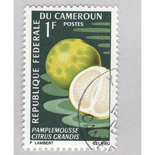 Cameroun 460 Grapefruit Used (BP93817)
