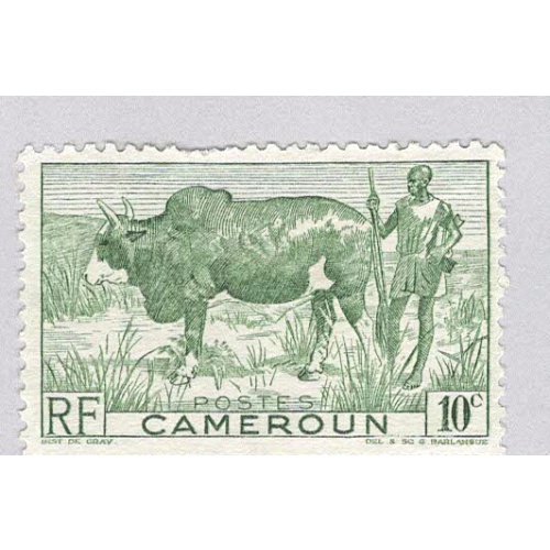Cameroun 304 Zebu and Herder MNG (BP94108)
