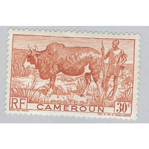 Cameroun 305 Zebu and Herder MLH (BP94111)