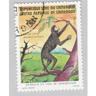 Cameroun 718 Black Colo?us Monkey Used (BP94322)