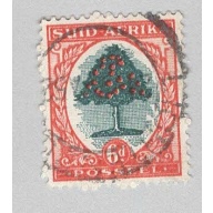 South Africa 61b Orange Tree Used 1  (BP94841)