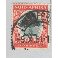 South Africa 61b Orange Tree Used 2  (BP94842)
