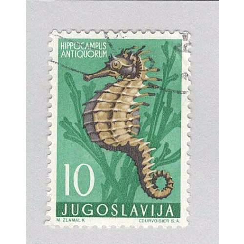 Yugoslavia 452 Sea Horse Used 1 (BP94907)