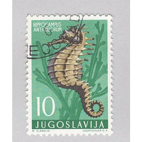 Yugoslavia 452 Sea Horse Used 2 (BP94908)