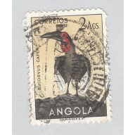 Angola 340 Bird Southern Hornbill Used 1 (BP94910)