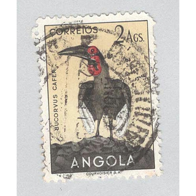 Angola 340 Bird Southern Hornbill Used 1 (BP94910)