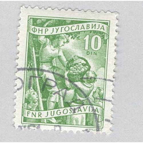 Yugoslavia 346 Fruit Growing Used (BP95102)