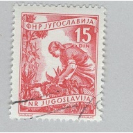 Yugoslavia 347 Gathering Sunflowers Used (BP95104)