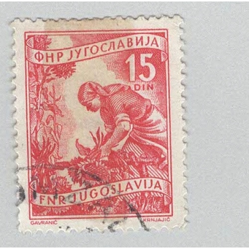 Yugoslavia 347 Gathering Sunflowers Used (BP95105)