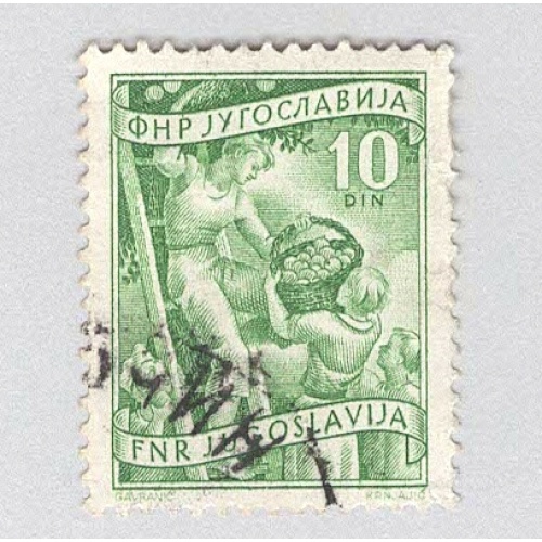 Yugoslavia 382 Fruit Growing Used (BP95126)