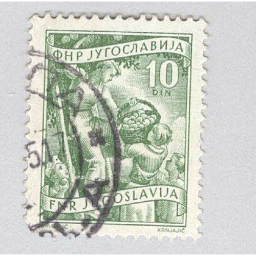 Yugoslavia 382 Fruit Growing Used (BP95128)