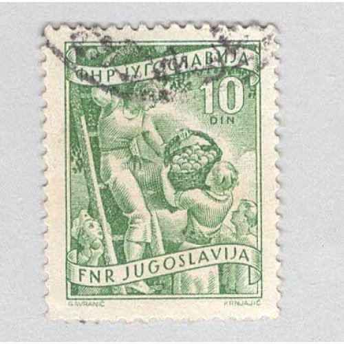Yugoslavia 382 Fruit Growing Used (BP95129)