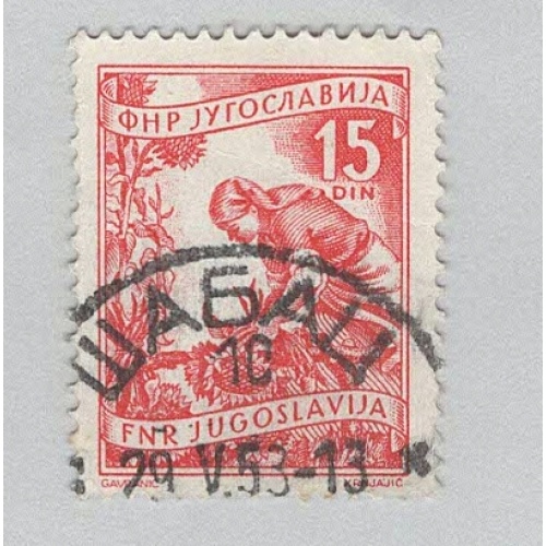 Yugoslavia 384 Gathering Sunflowers Used 2  (BP95202)