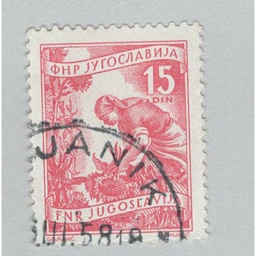 Yugoslavia 384 Gathering Sunflowers Used 2  (BP95205)