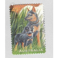 Australia 1562 Dogs Used (BP95824)