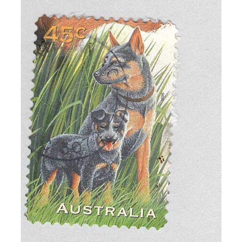 Australia 1562 Dogs Used (BP95825)
