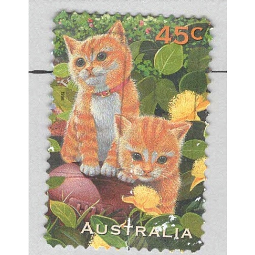 Australia 1562 Kittens Used (BP96203)
