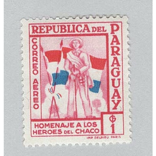 Paraguay C238 Soldier and Flags MLH 1  (BP96811)