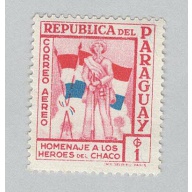 Paraguay C238 Soldier and Flags MNG 2  (BP96813)