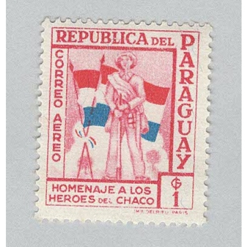 Paraguay C238 Soldier and Flags MNG 2  (BP96813)